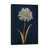 Toile avec cadre flottant noir