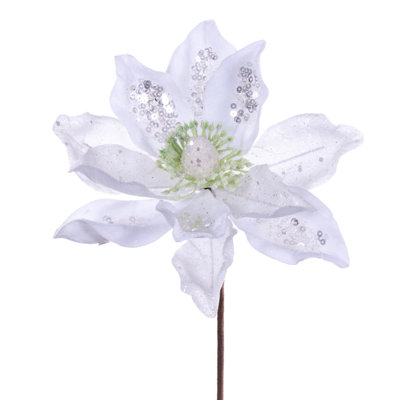 Tige de magnolia