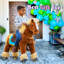 Cheval d'équitation brun modèle X-90993426