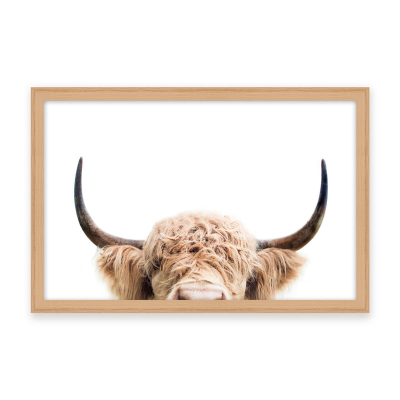 Nature Inspired Peeking Cow by  - Picture Frame Photograph on Paper, 32" H x 48" W x 1.125" D, Black, Framed Print