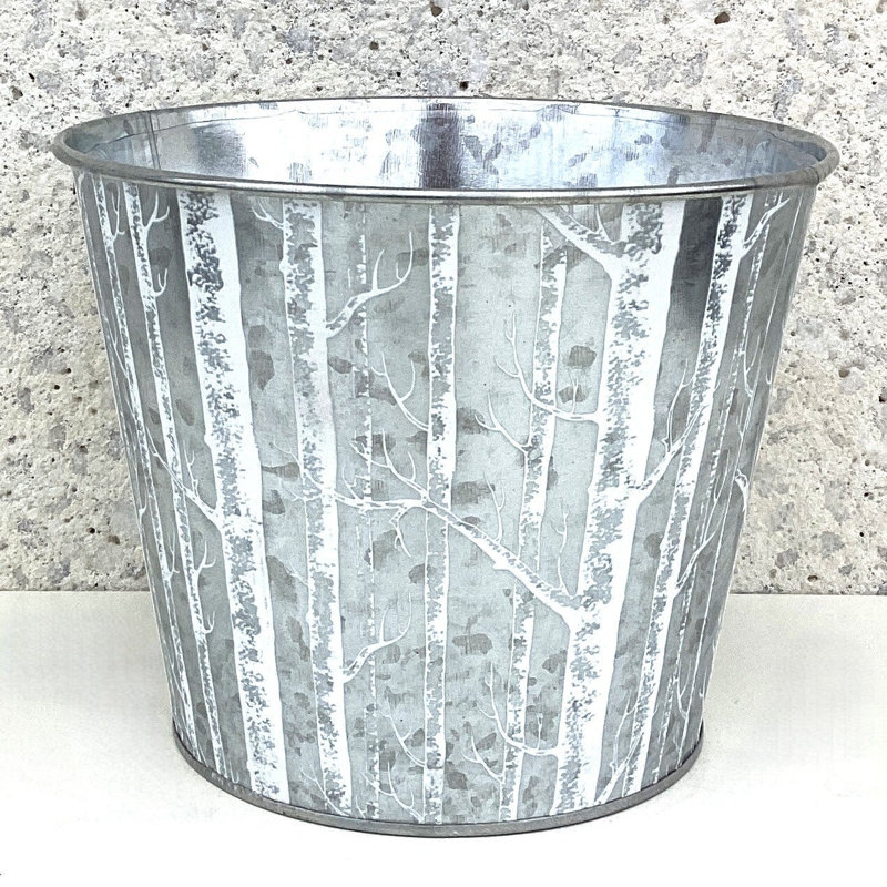 Bouleaux sur pot d'argent