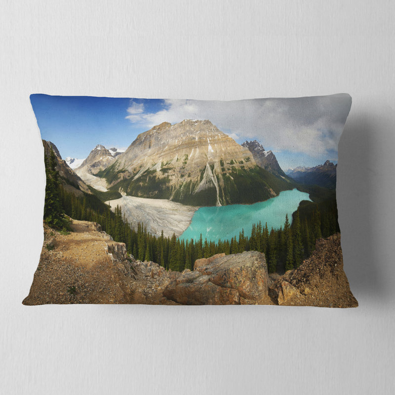 Coussin lombaire Schaer