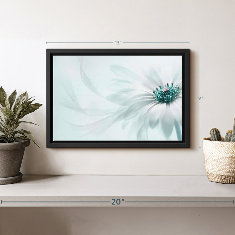 Impression sur toile translucide Cape Daisy, H 9 po x l 13 po