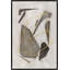 Visual Suspension I Print by Richard Ryder-1558997147