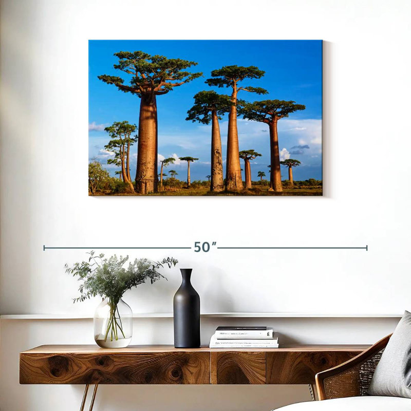 Morondava, forêt de Baobab, H 24 po x l 36 po