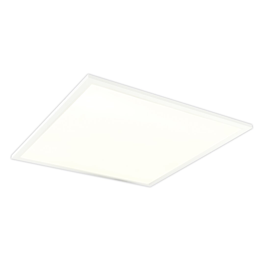 Naeve Leuchten 1 Light 62" LED Flush Mount