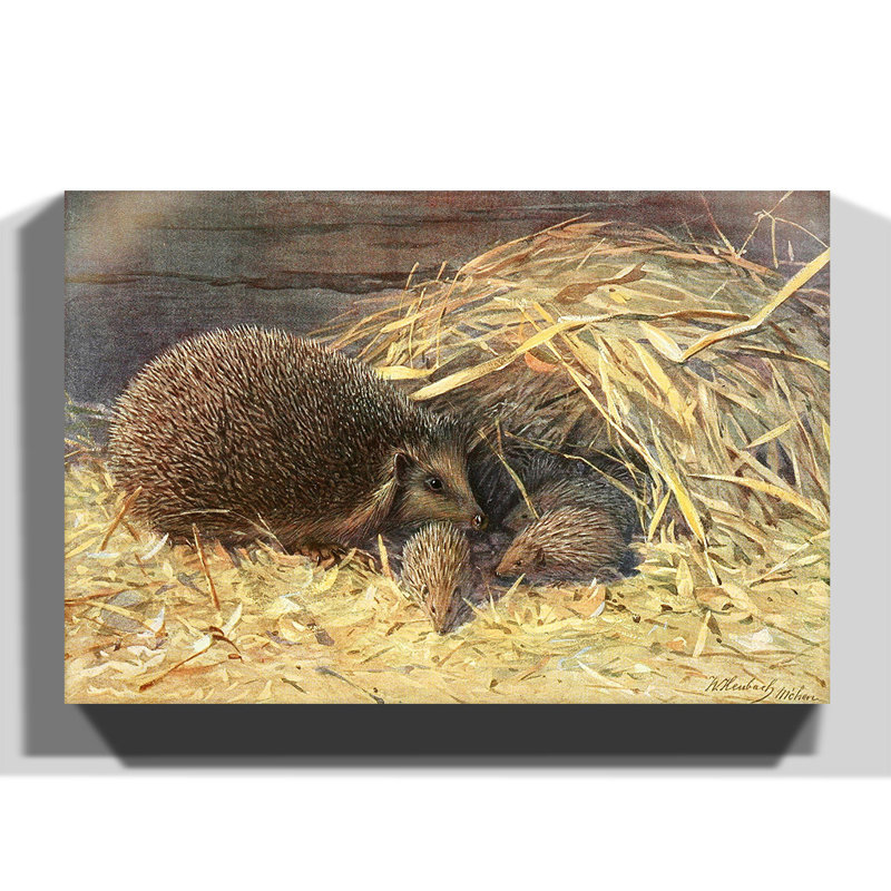 Wrapped Canvas Painting, 40cm H x 60cm W