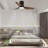 Andricka 40'' Ceiling Fan with LED Lights