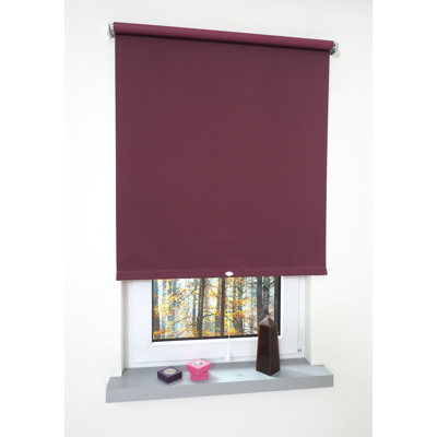 Blackout Solar shade