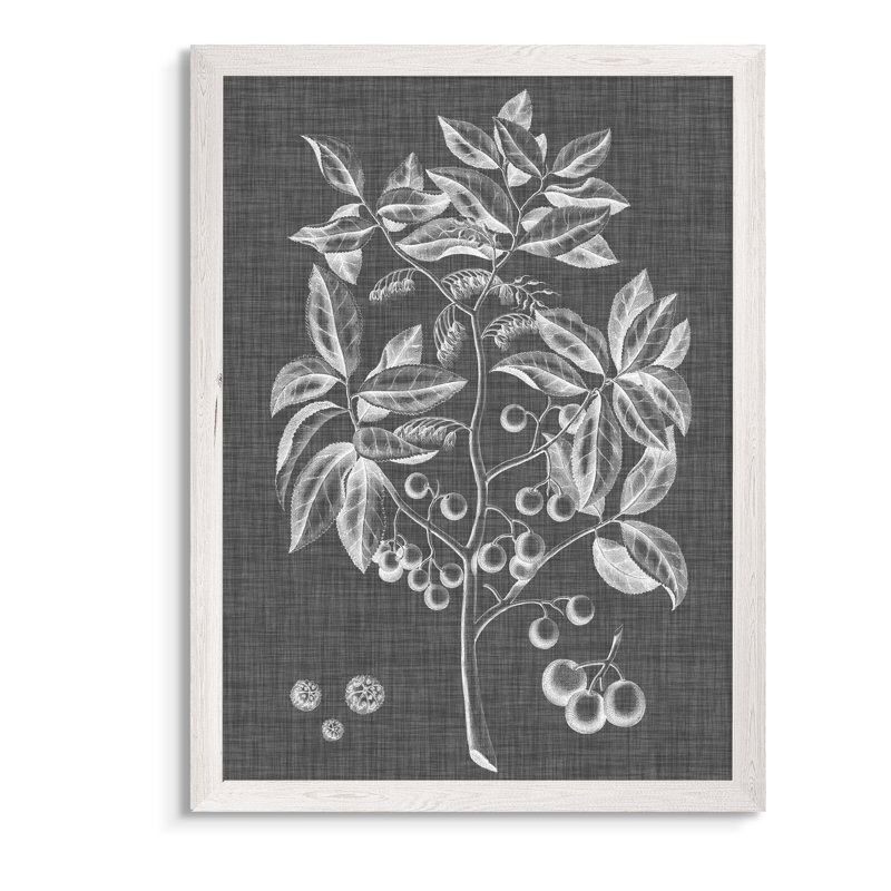 « feuillage de graphique vi » par paul cezanne-photo-cadre, reproduction d’art, H 30 po x l 22 po x P 1,25 po
