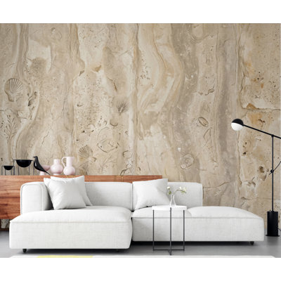 Neutral Fossil Shell Wallpaper | Beige Textured Faux Plaster Wall Mural | Coastal Peel and Stick Wallpaper | Vintage Stone Wallpaper 444DRE