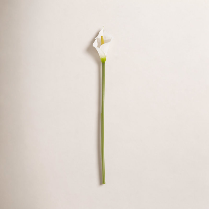 Ensemble de 12 fleurs Calla Lily