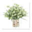 Eucalyptus With Pom Poms In Shell Vase