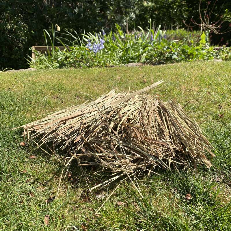 Pixie Freestanding Hedgehog House
