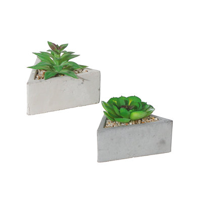 Centre de table succulent en pot