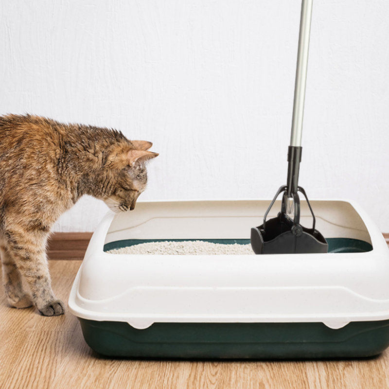 Ramasse-crottes PETMAKER à long manche pour chiens et chats - Ramasse-crottes à une main pour l'intérieur et l'extérieur avec mâchoires dentelées - Outil de nettoyage hygiénique en aluminium et plastique