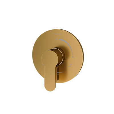 Identity Shower Valve Trim with Volume Control