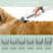 7-in-1 Multifunctional Pet Grooming & Vacuum Suction Kit