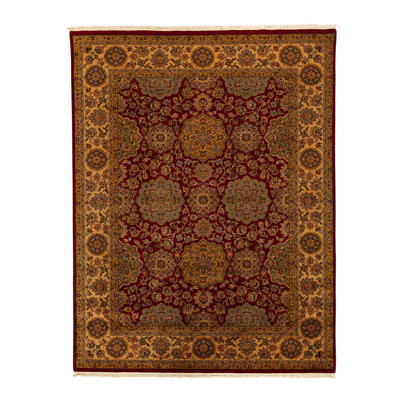 Wool Oriental Area Rug in Gold
