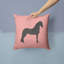 Coussin extérieur à chèque cheval-23813772-48711011