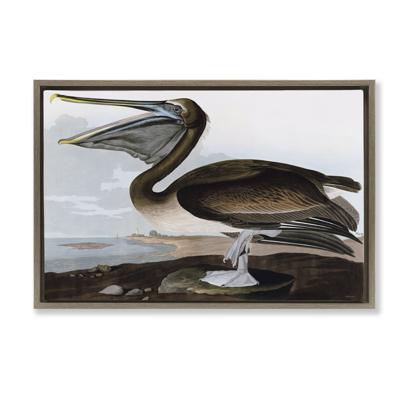 Toile flottante encadrée «Classic Pelican at Beach» par Stellar Design Studio, H 21 po x l 31 po