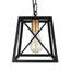 Luminaire suspendu industriel noir 1 lumière Edison