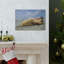 Drôle de morse, seuil, art mural extérieur-71348223