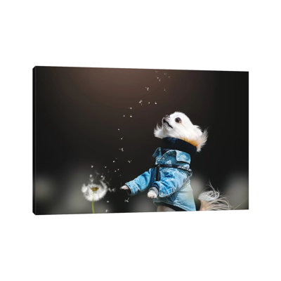Fluffy by Lienjp - Wrapped Canvas Print