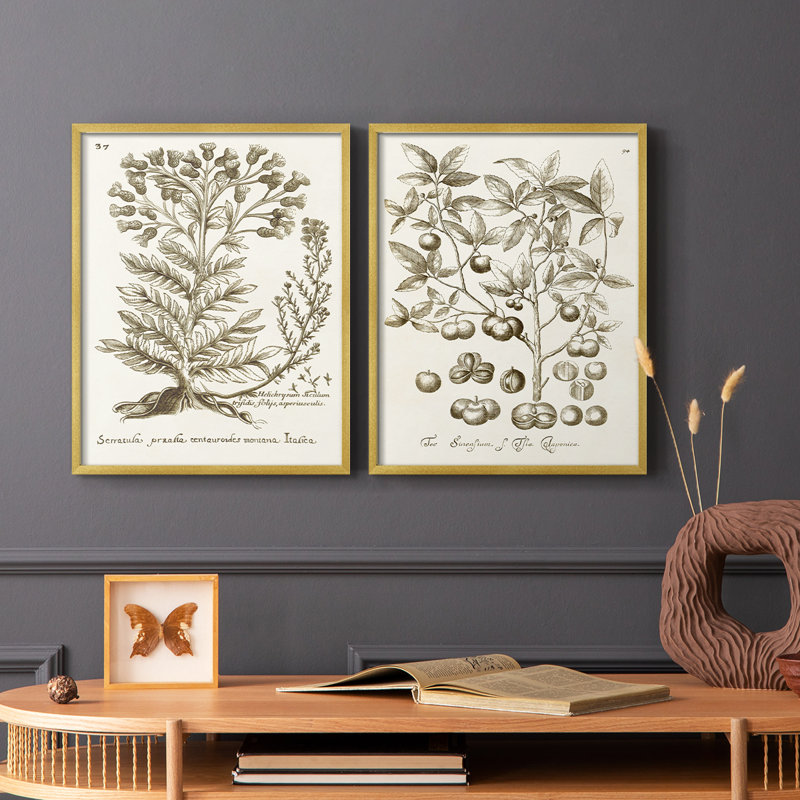 «Sepia Botanical Journal I», reproduction encadrée de qualité supérieure - prête à être accrochée - aucun clou requis - aucun clou requis