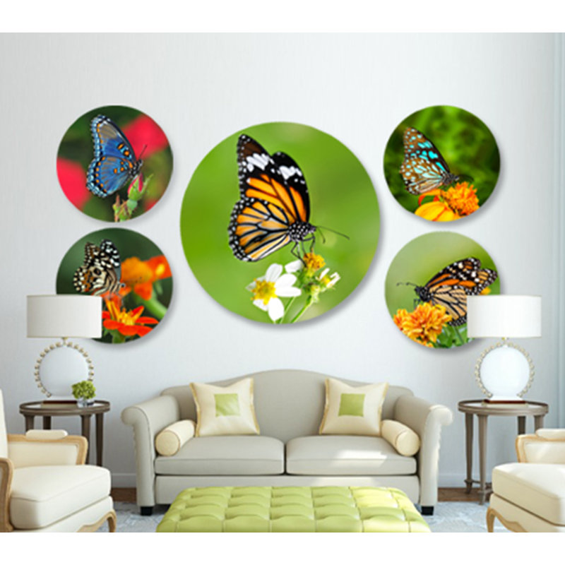 Magnifique papillon - photographie sur acrylique, H 24 po x l 24 po