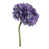 Lavender is out of stock