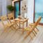  Ensemble de 2 chaises pliantes Anya