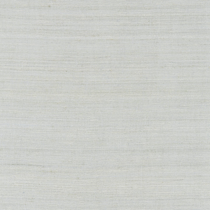 Tissu de luxe moderne Tussah, Minéral