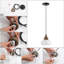 Luminaire suspendu pour dôme simple 1 lumières Danial