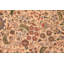 Tapis oriental en laine noué à la main beige / brun clair / vert clair Padula