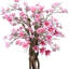 Magnolia en pot de pierre