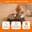 Jouet pour chat Kitty Curls, orgue magique pliable en accordéon avec balle roulante, griffoir interactif apaisant pour chats et chatons d'intérieur