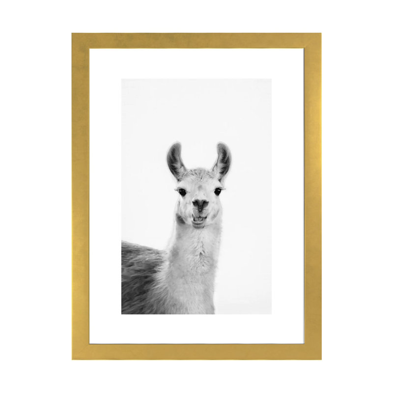 «Happy Lama» par Sissi & Seb - reproduction de photo, Papier encadré doré, H 32 po x l 24 po x P 1 po, Blanc