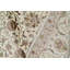 Aberdeen Oriental Area Rug