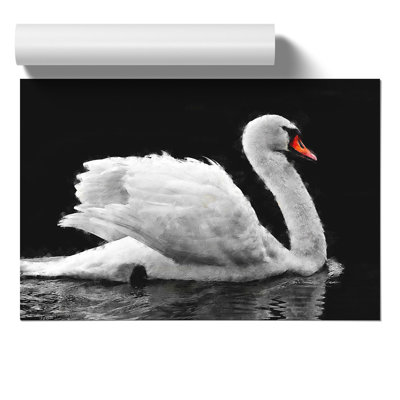 White Swan Painting - Frameless Print