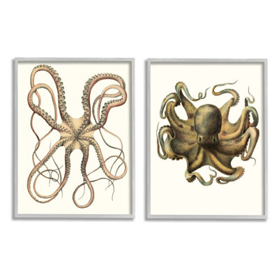 " Vintage Octopus Illustration Curved Tentacles " 2 Piece Art Graphic Art Print