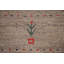 Tapis oriental fait à la main Gabbeh 8 x 10
