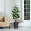 Adcock UV Protected Artificial Ficus Tree with Decorative Base, Faux Ficus Plant with Natural Trunk-1722551526-1722551521