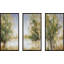 «Waterway Grove» par Carol Robinson, reproduction sur toile flottante 3 pièces-87730753