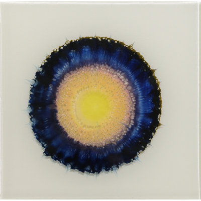 Allison Esley Handmade Boho Abstract Resin Wall Decor