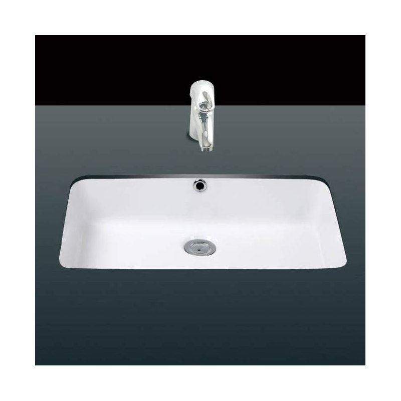 Under Ceramic 21.7'' L Bathroom Sink