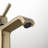 Single-Hole Bathroom Faucet with Drain Assembly