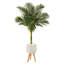 Faux Palm Tree in Clay Planter-623753349
