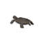 Figurine turtle Feld