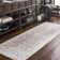Longino Oriental Indoor Rug